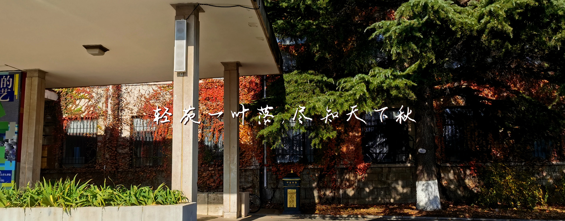 女主播自慰