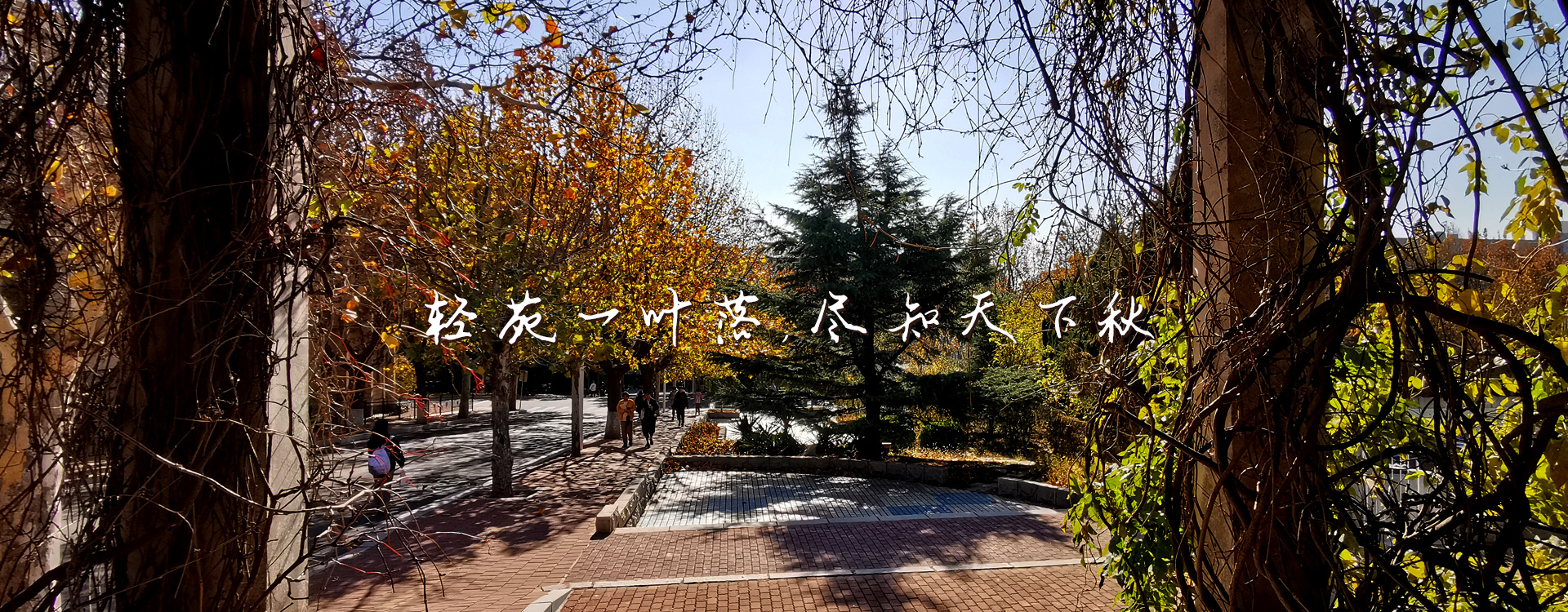 女主播自慰