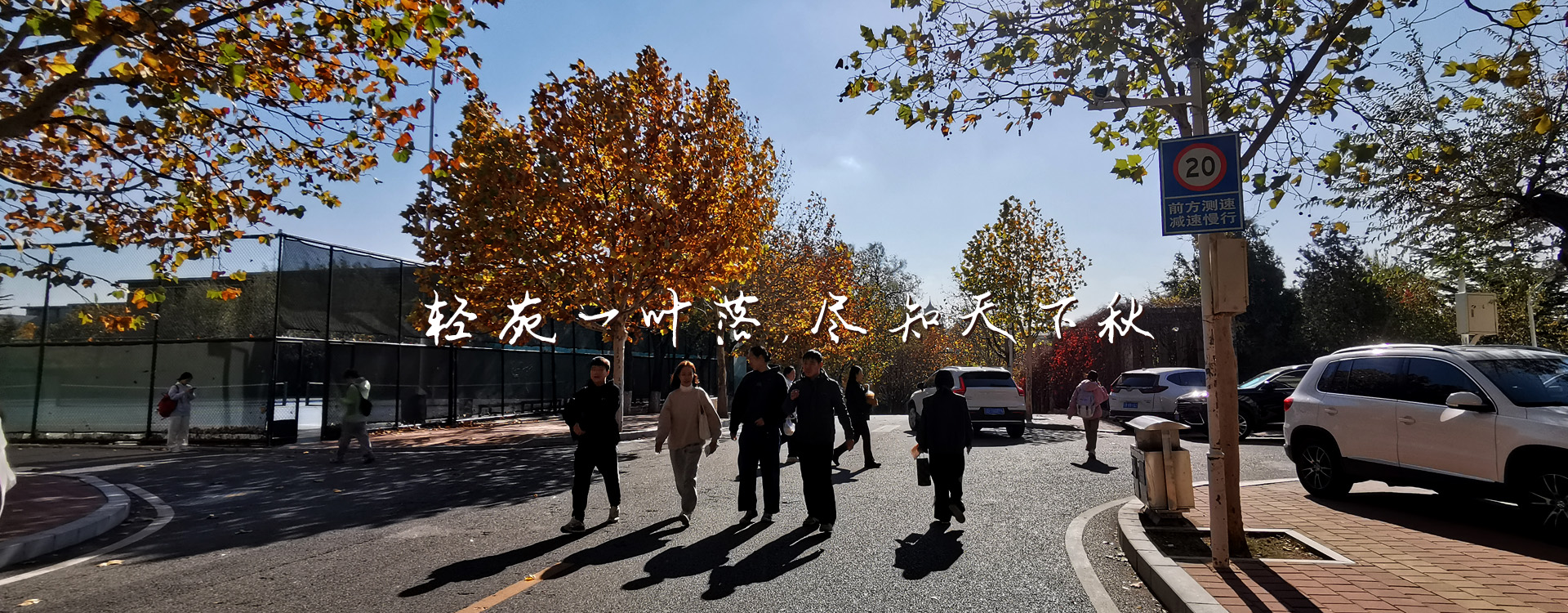 女主播自慰