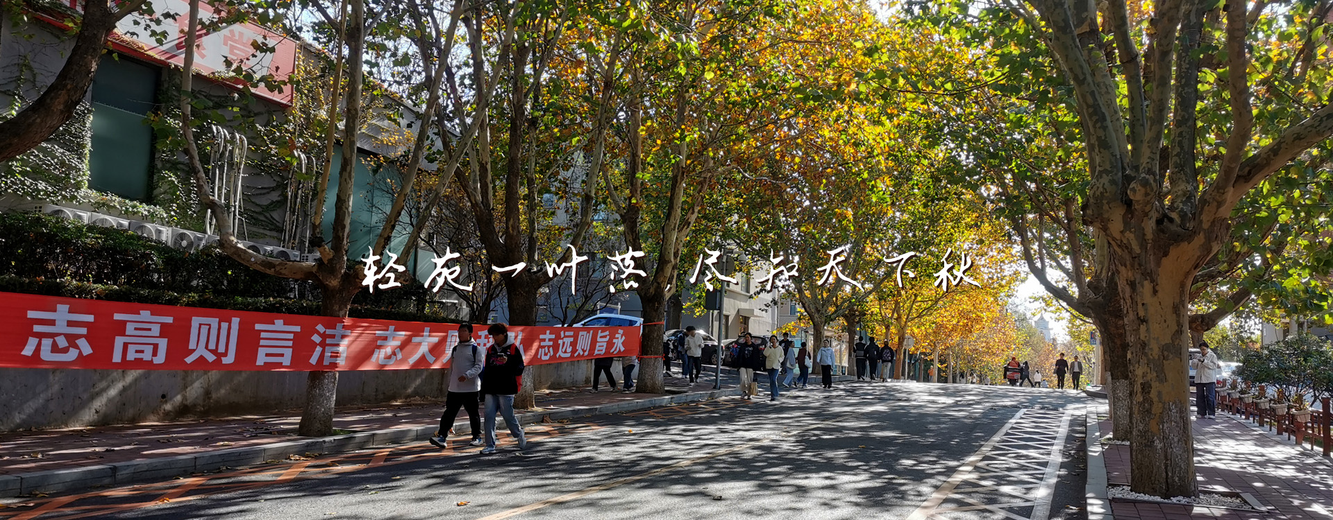 女主播自慰
