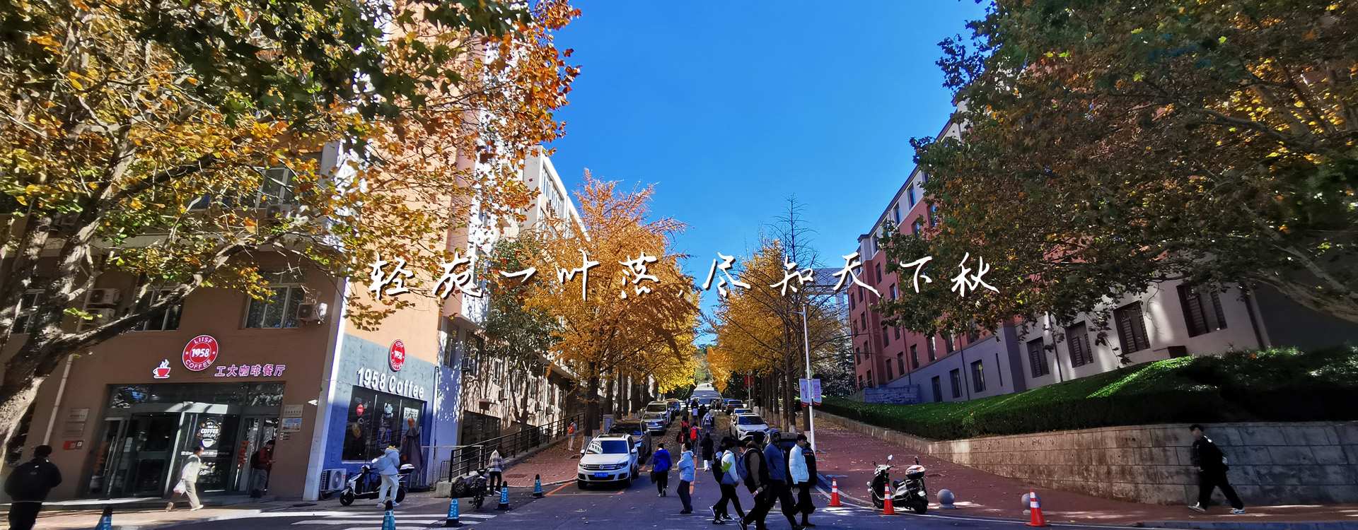 女主播自慰