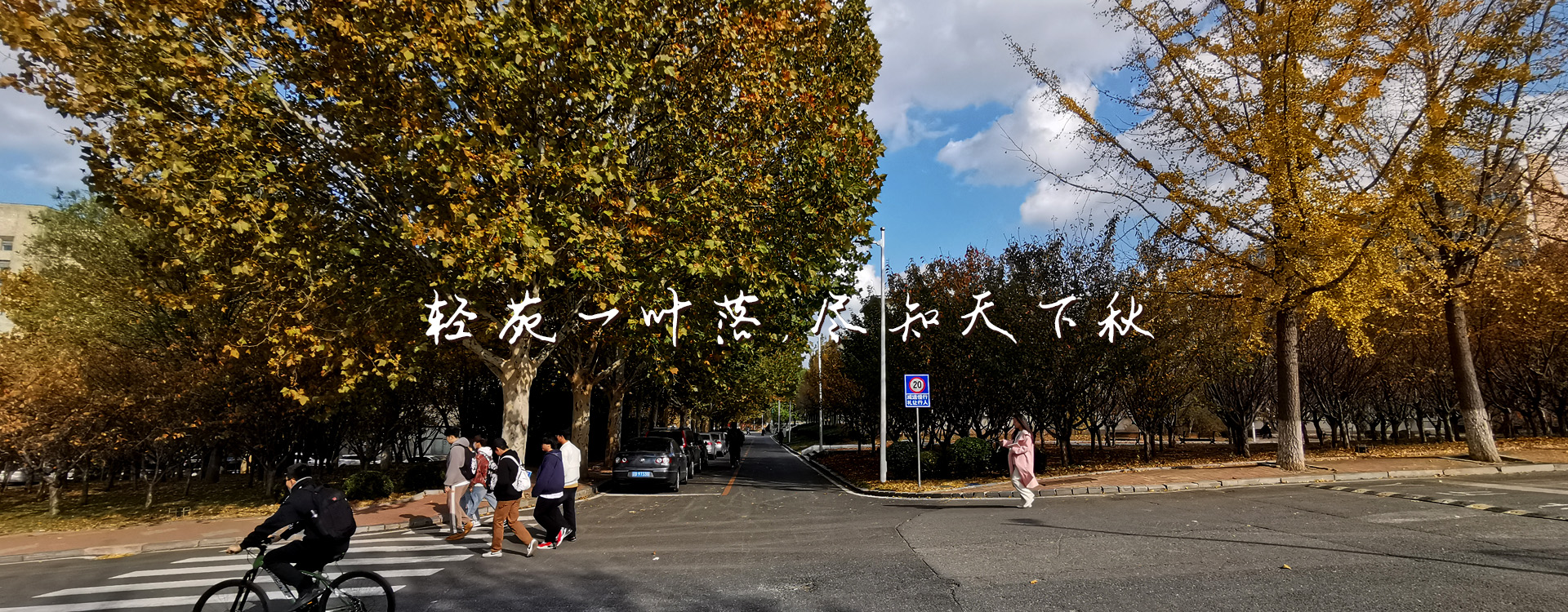 女主播自慰