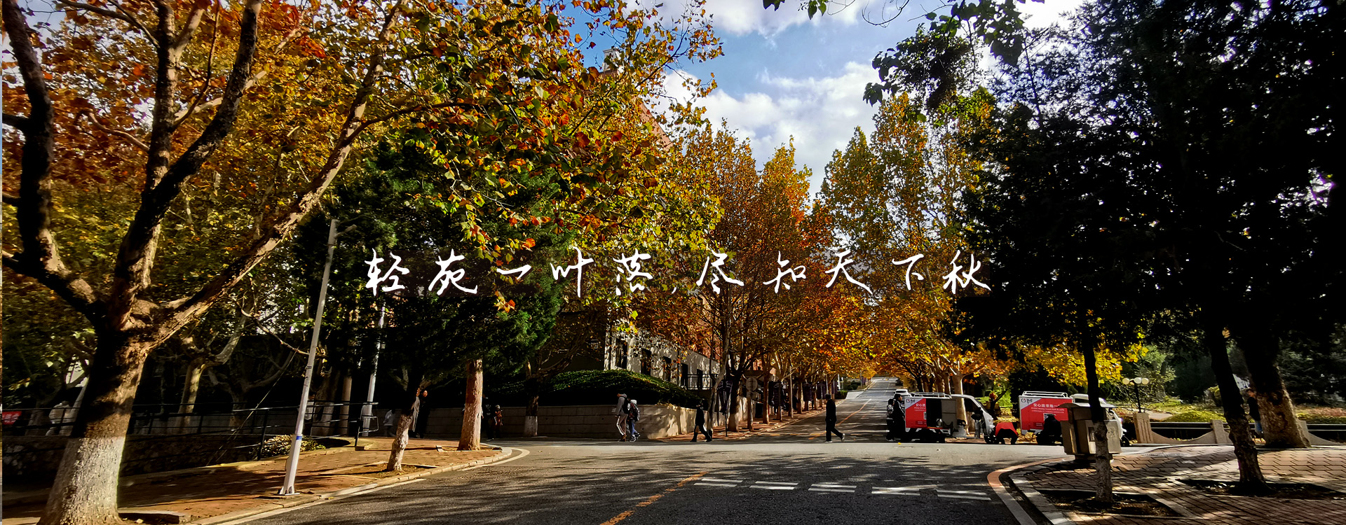 女主播自慰