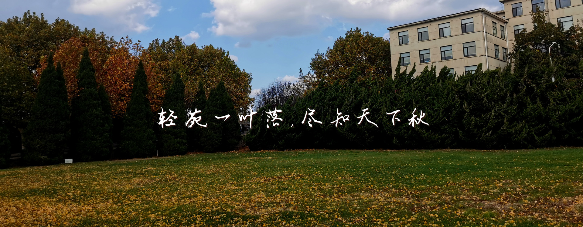 女主播自慰
