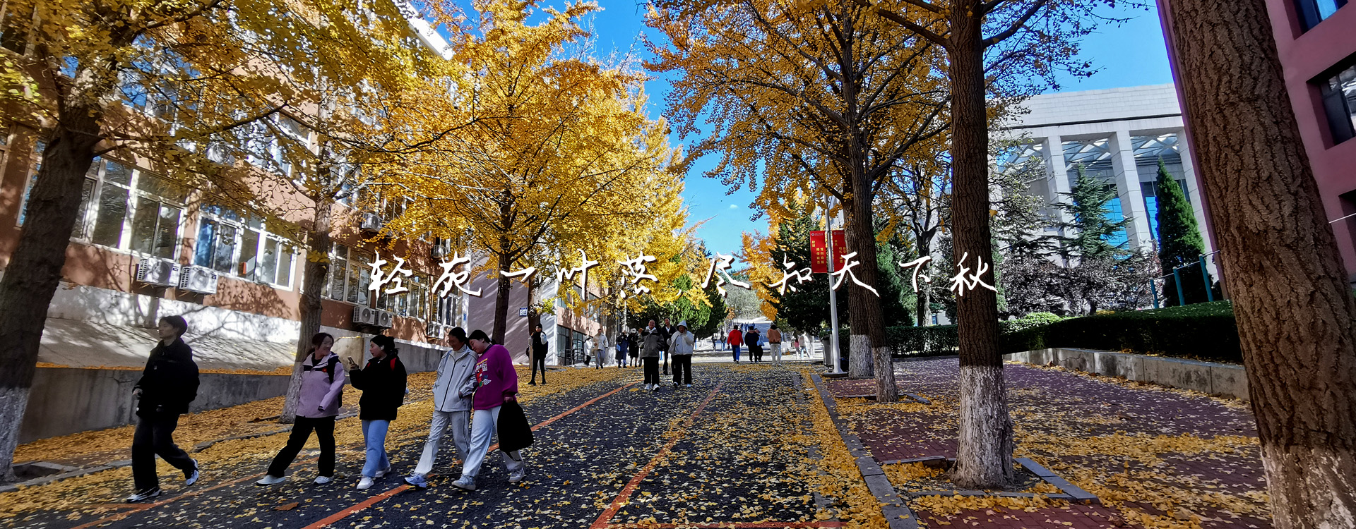 女主播自慰