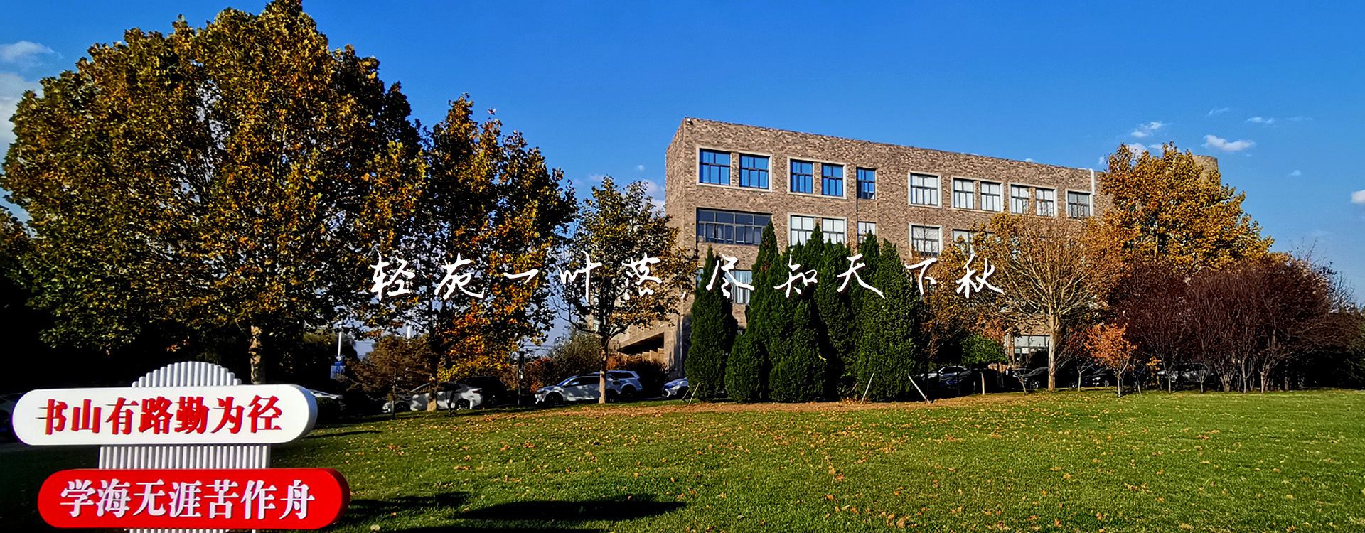 女主播自慰