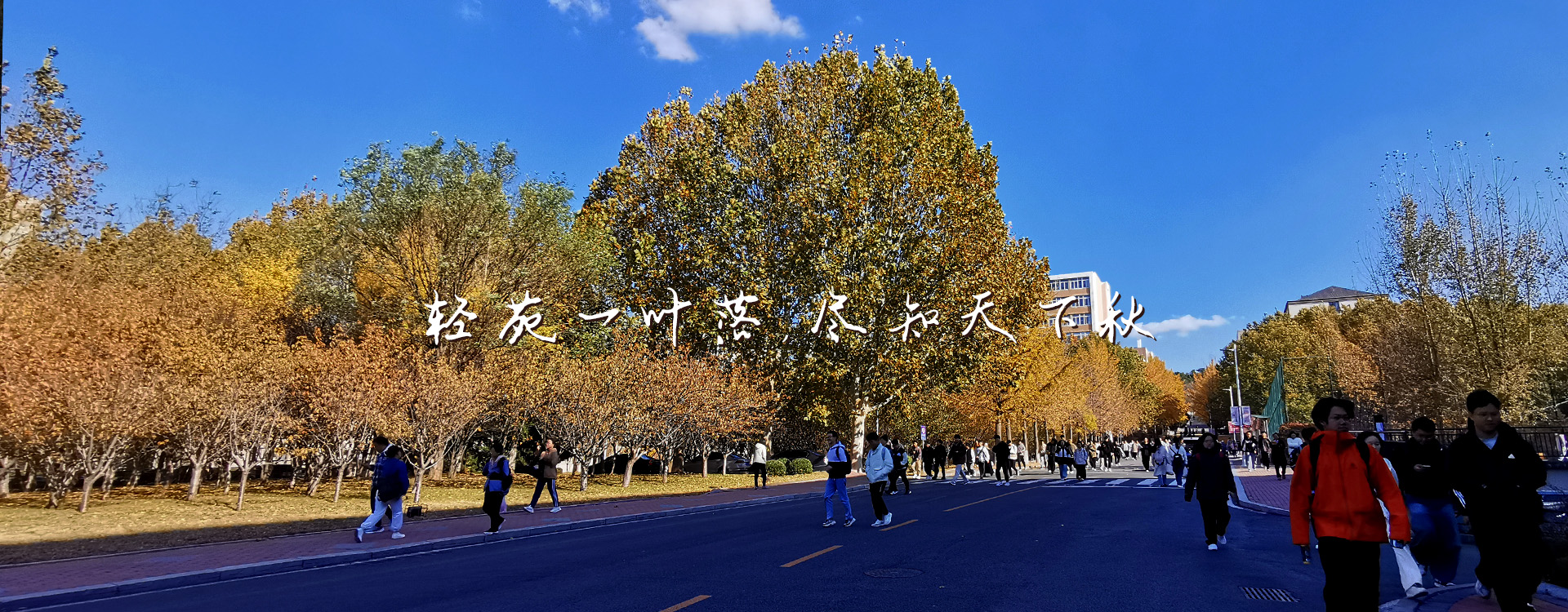 女主播自慰