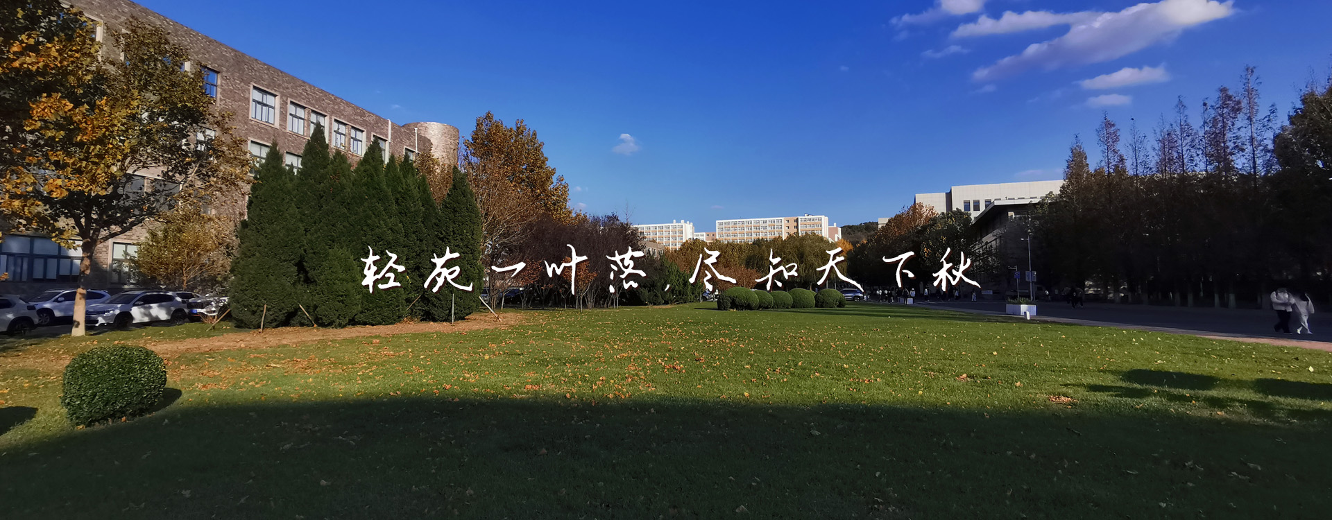 女主播自慰
